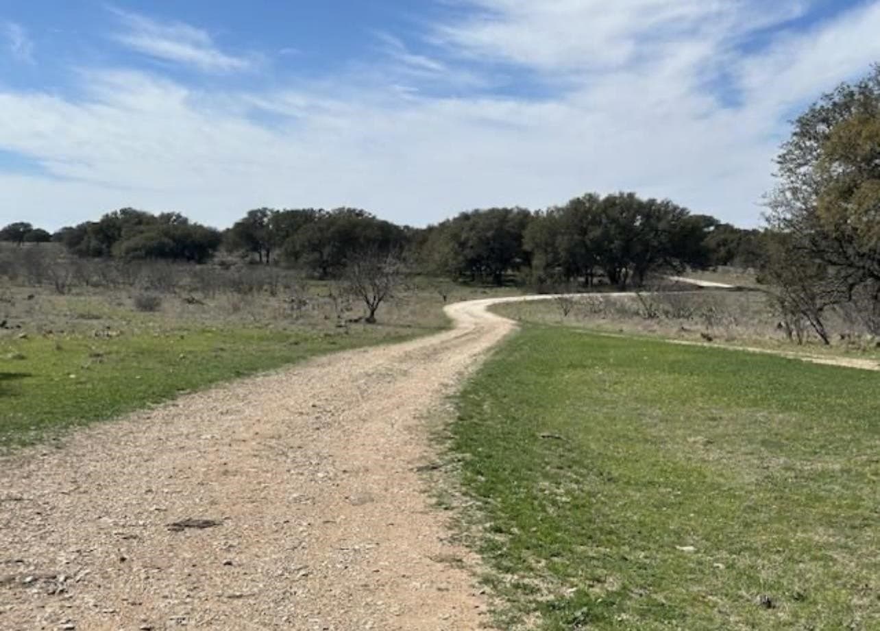 50 acres in San Saba County gallery image 2
