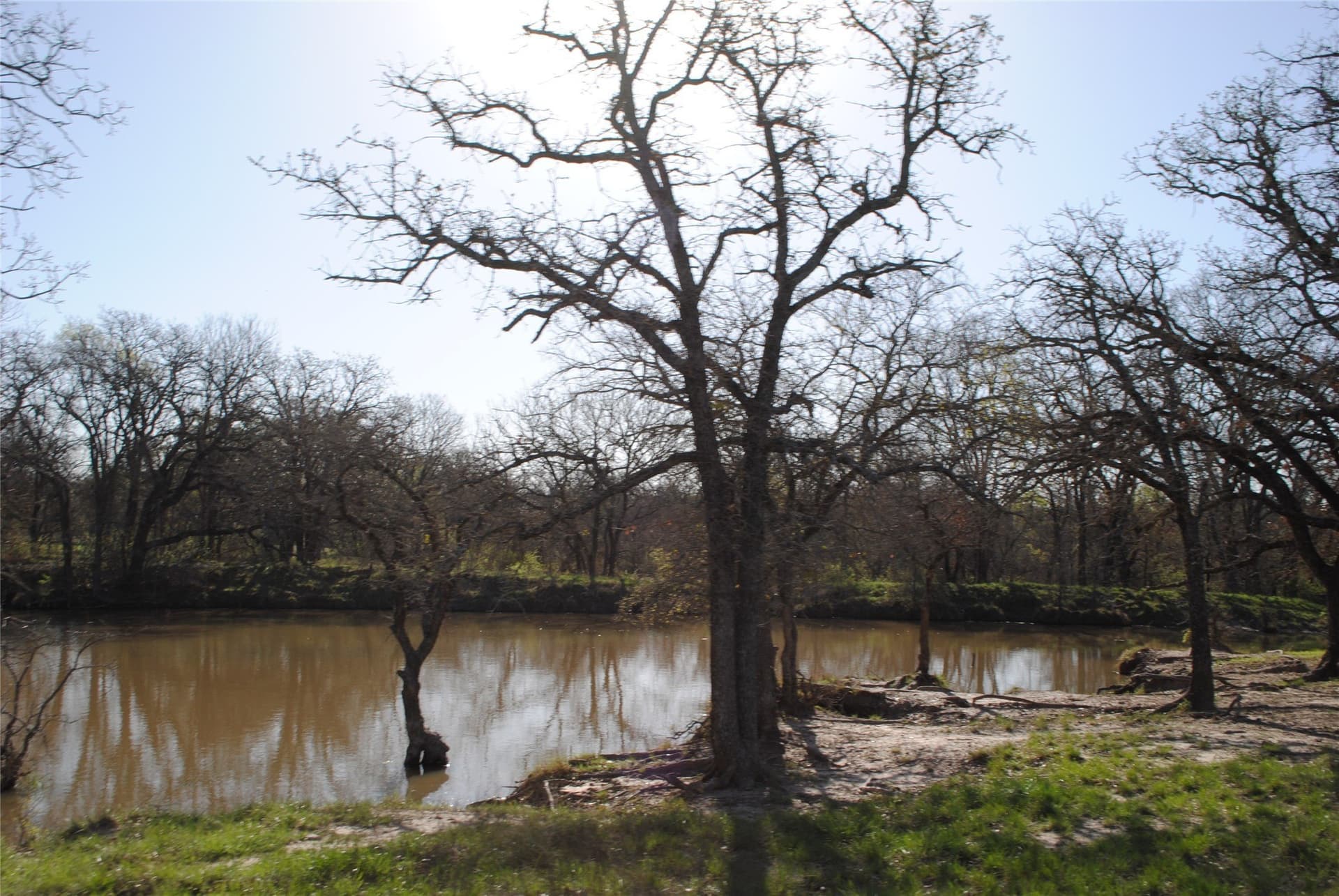227.77 acres in Comanche County - photo 21