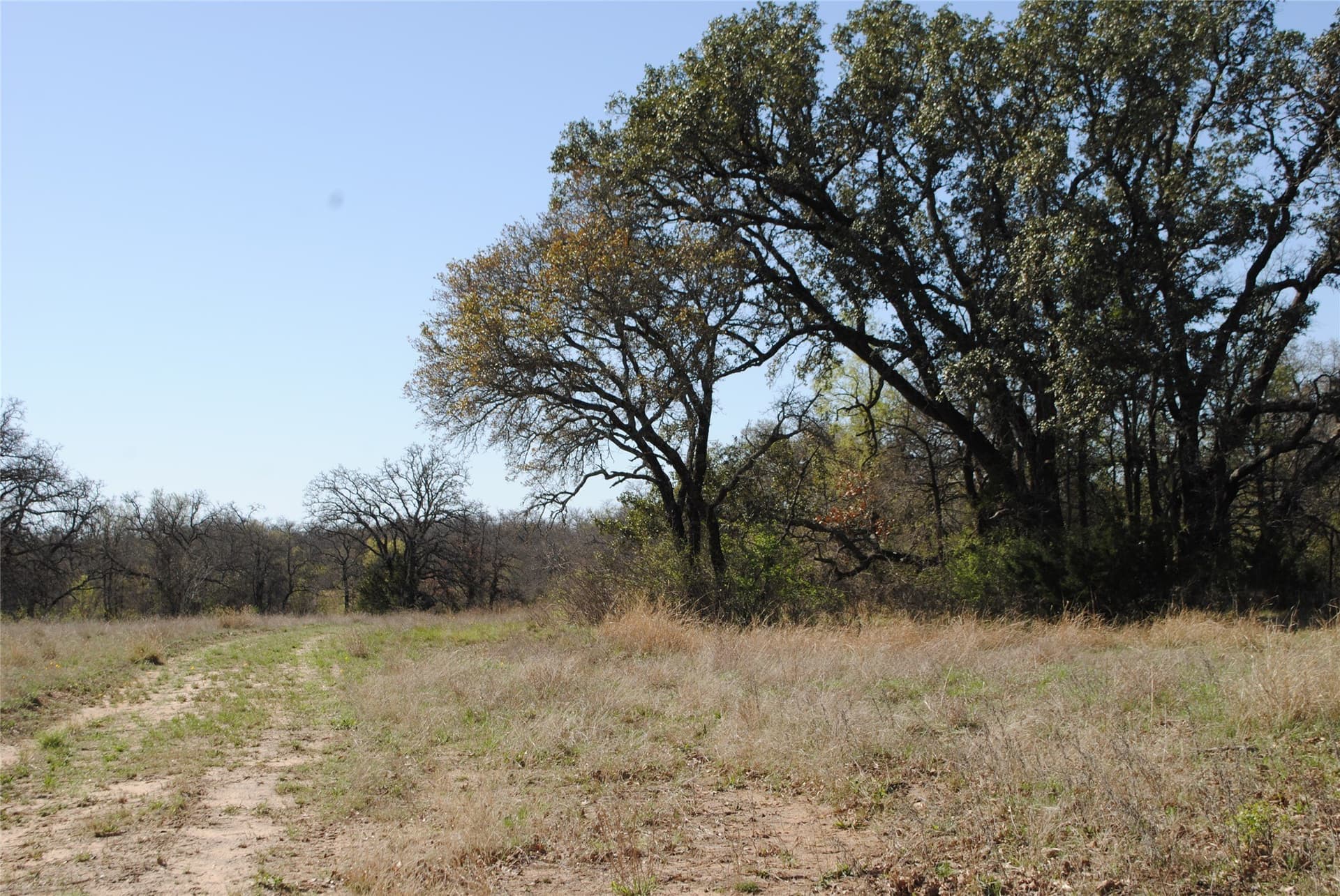 227.77 acres in Comanche County - photo 12