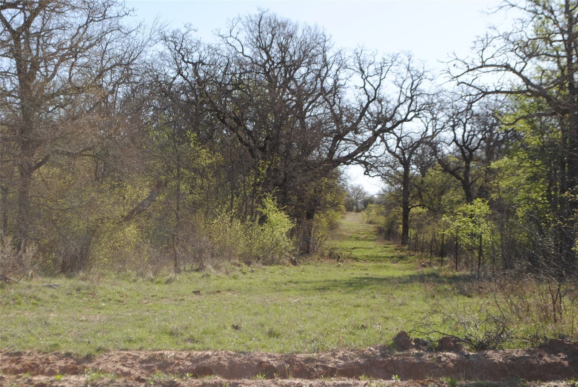 227.77 acres in Comanche County - photo 10