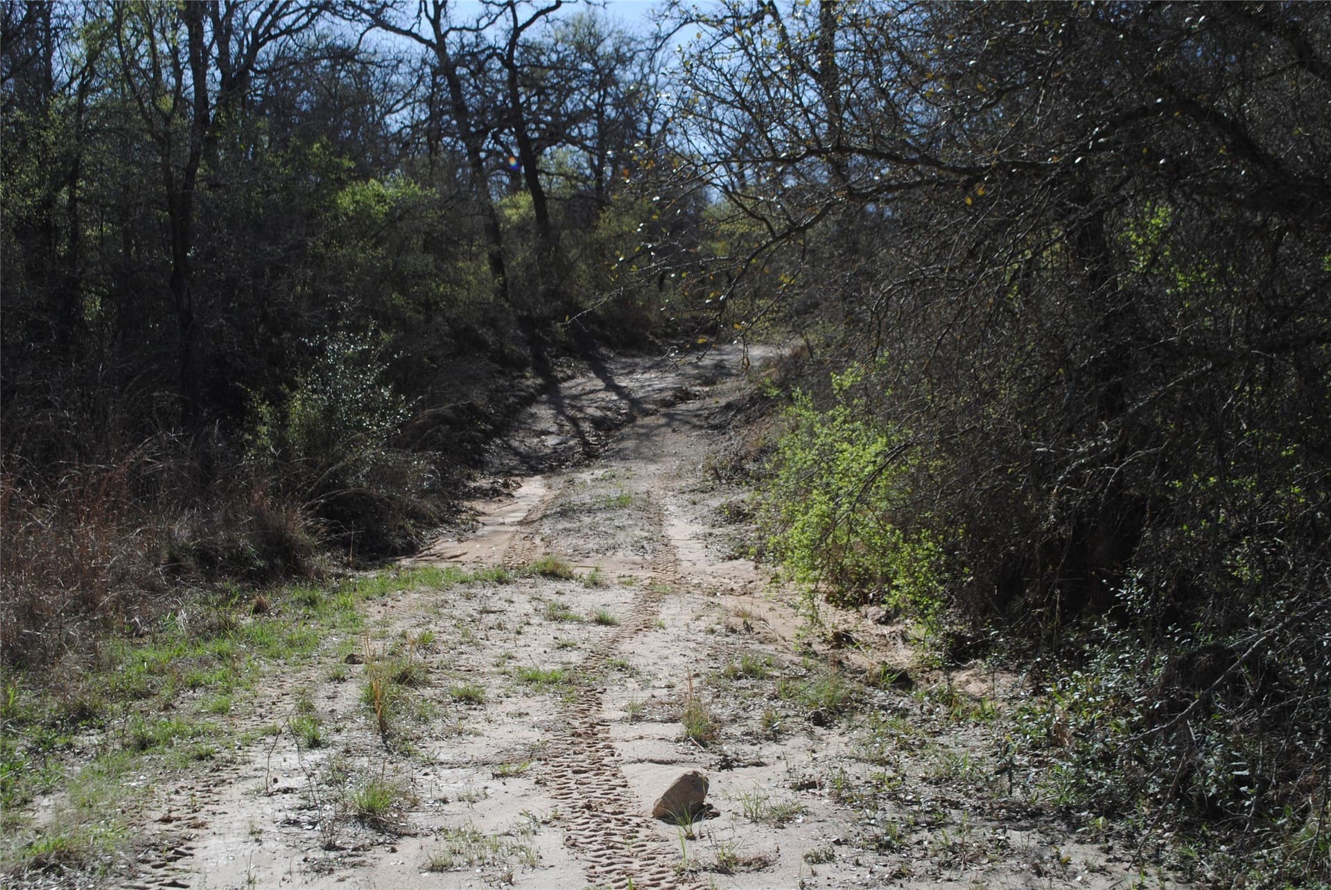 227.77 acres in Comanche County - photo 13