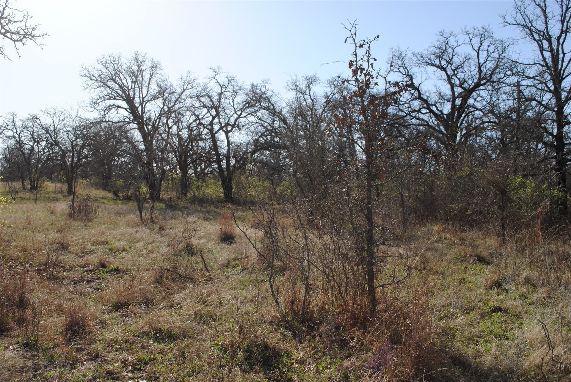 227.77 acres in Comanche County - photo 9