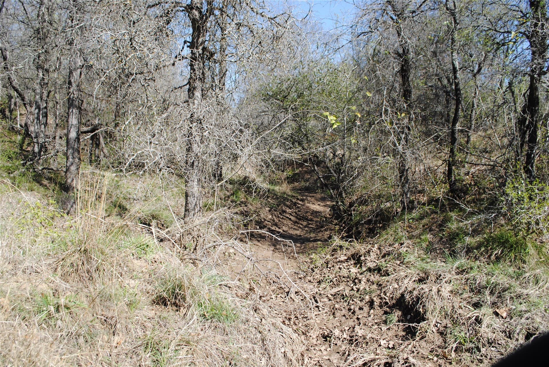 227.77 acres in Comanche County - photo 24