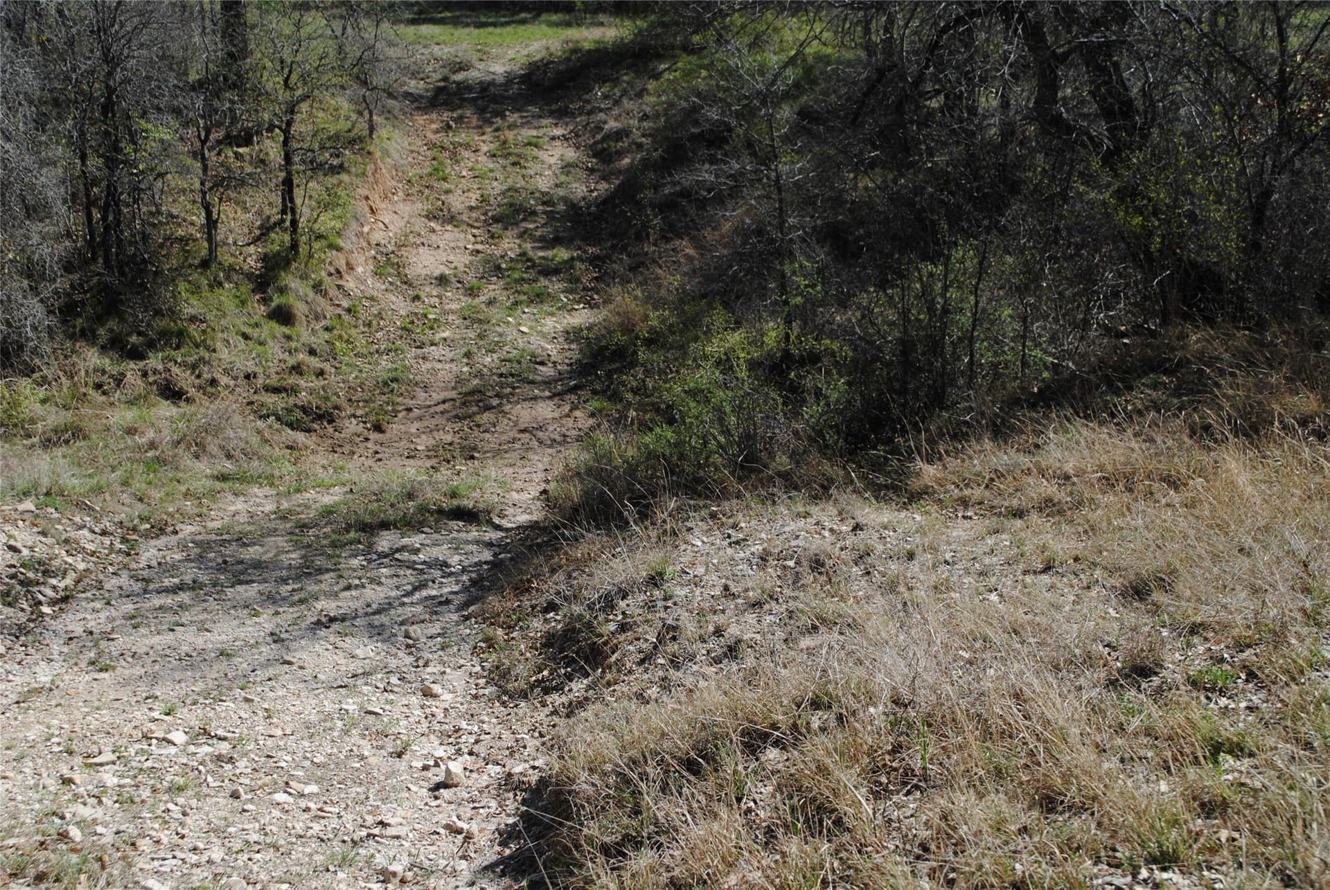 227.77 acres in Comanche County - photo 23