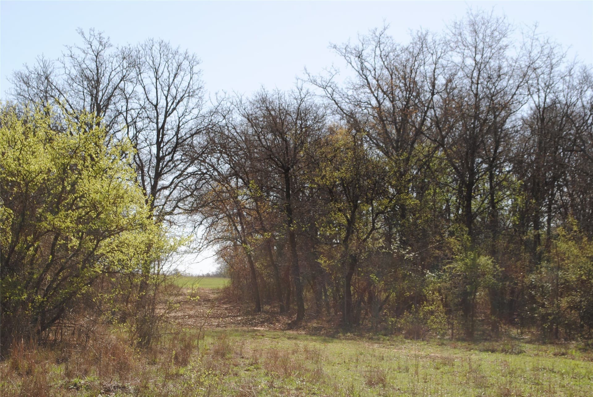 227.77 acres in Comanche County - photo 14