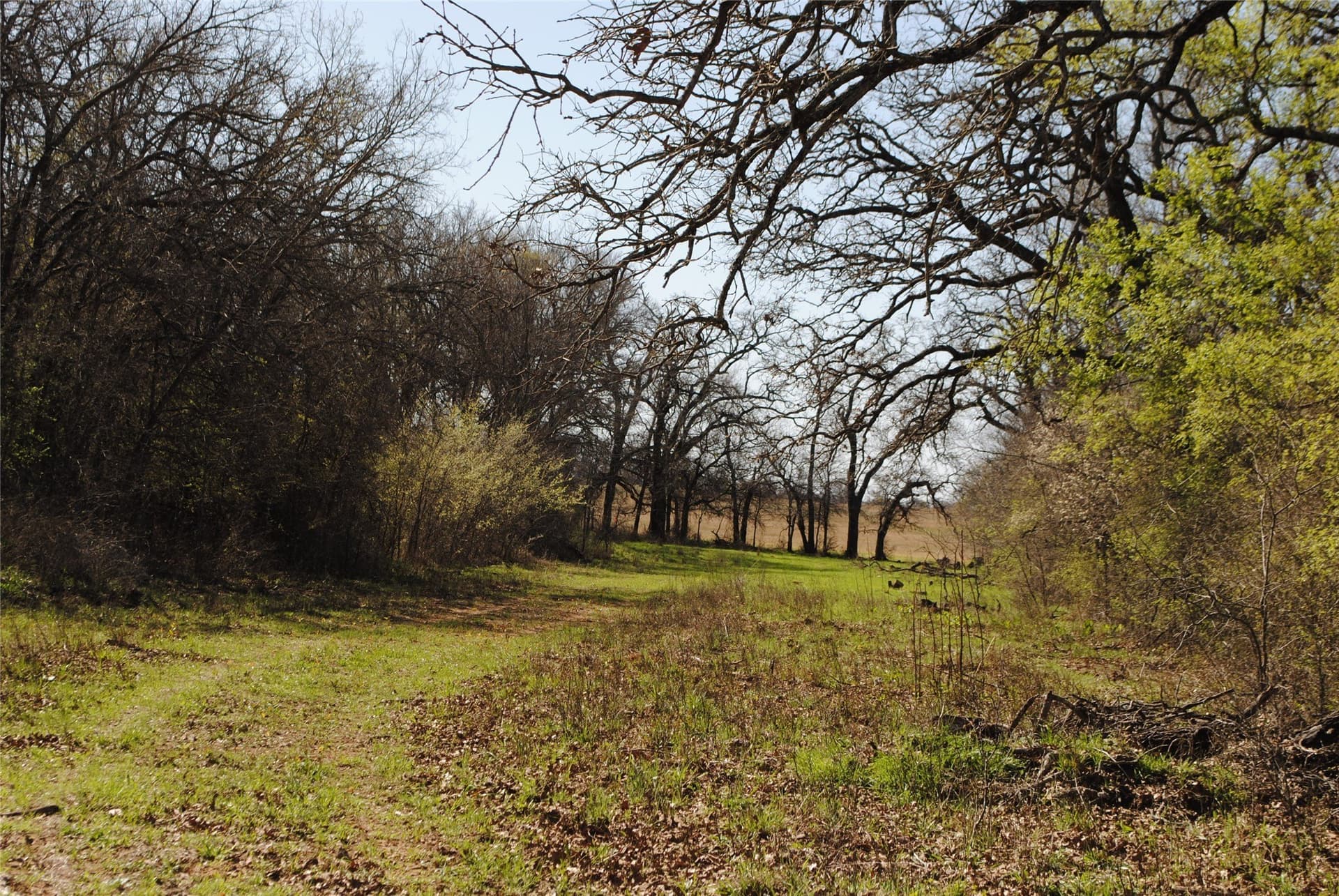 227.77 acres in Comanche County - photo 15
