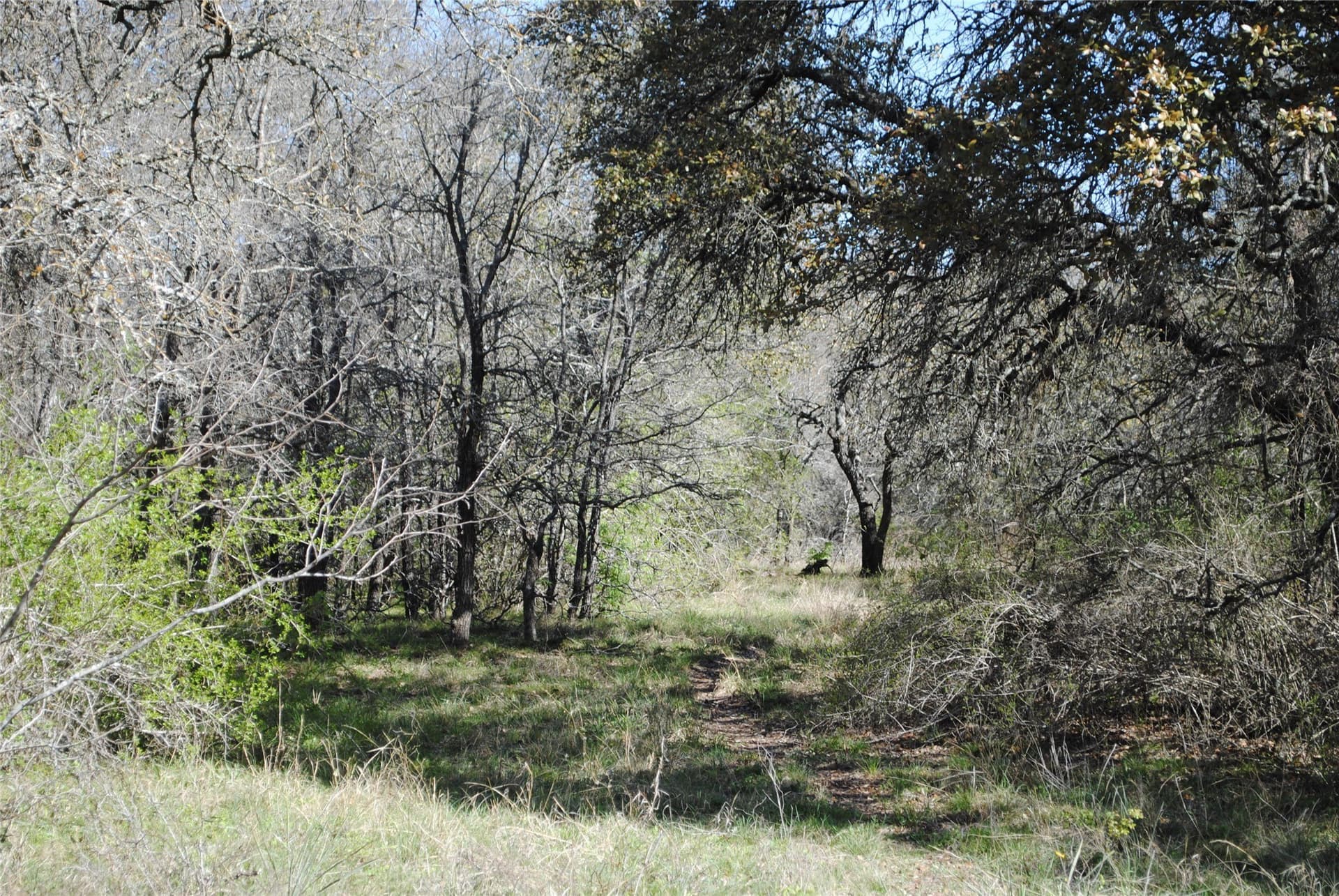 227.77 acres in Comanche County - photo 20