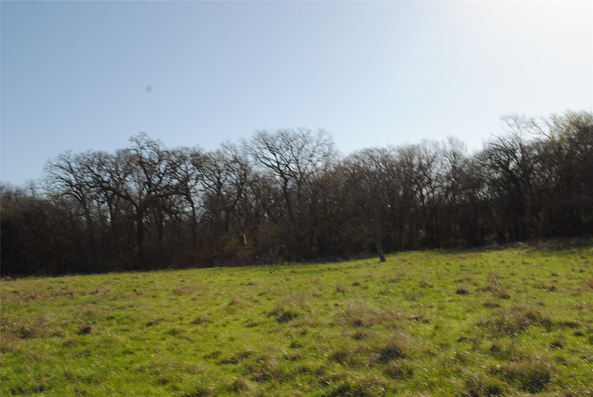 227.77 acres in Comanche County - photo 6