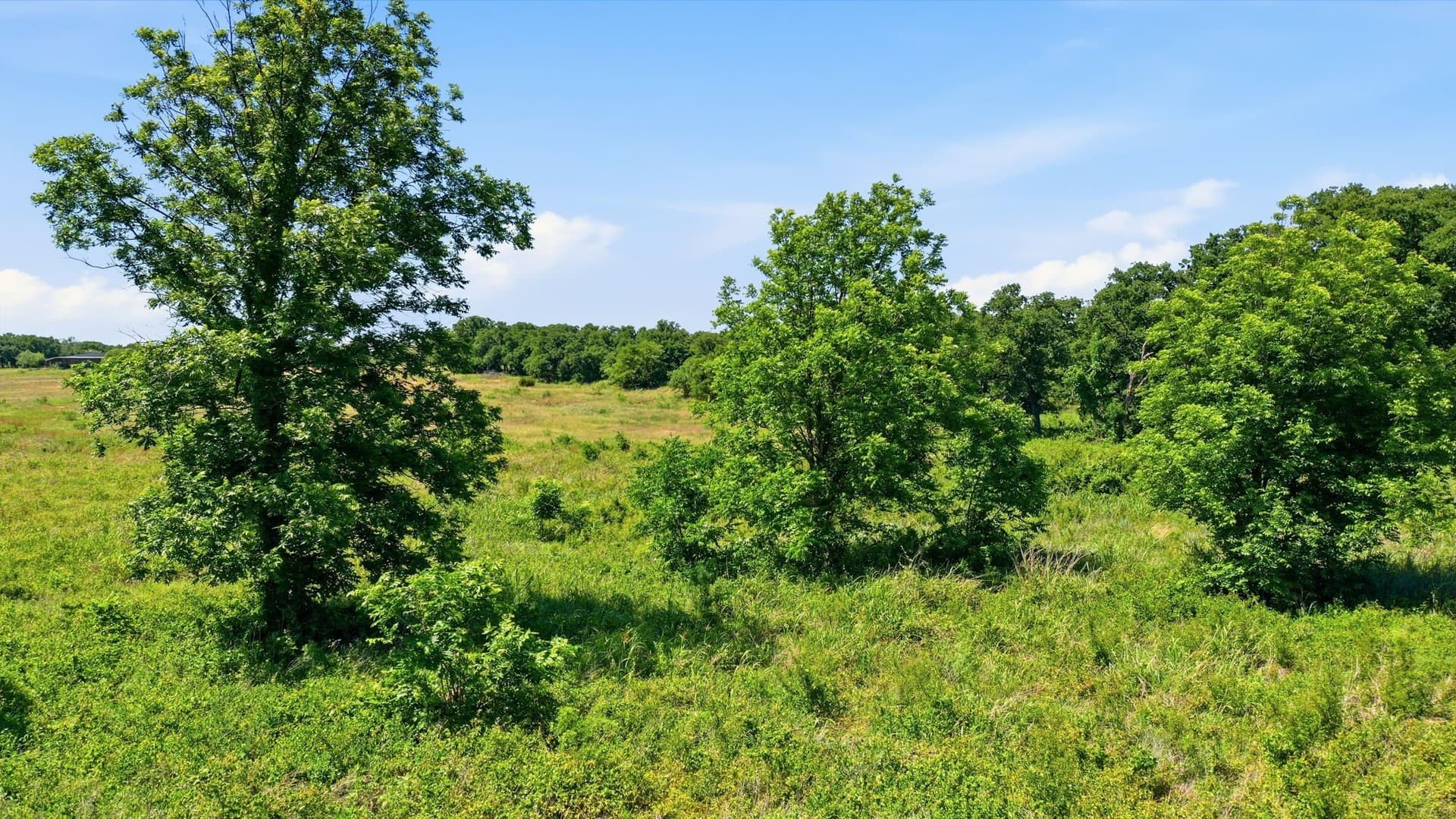 5 acres in Jack County - photo 9