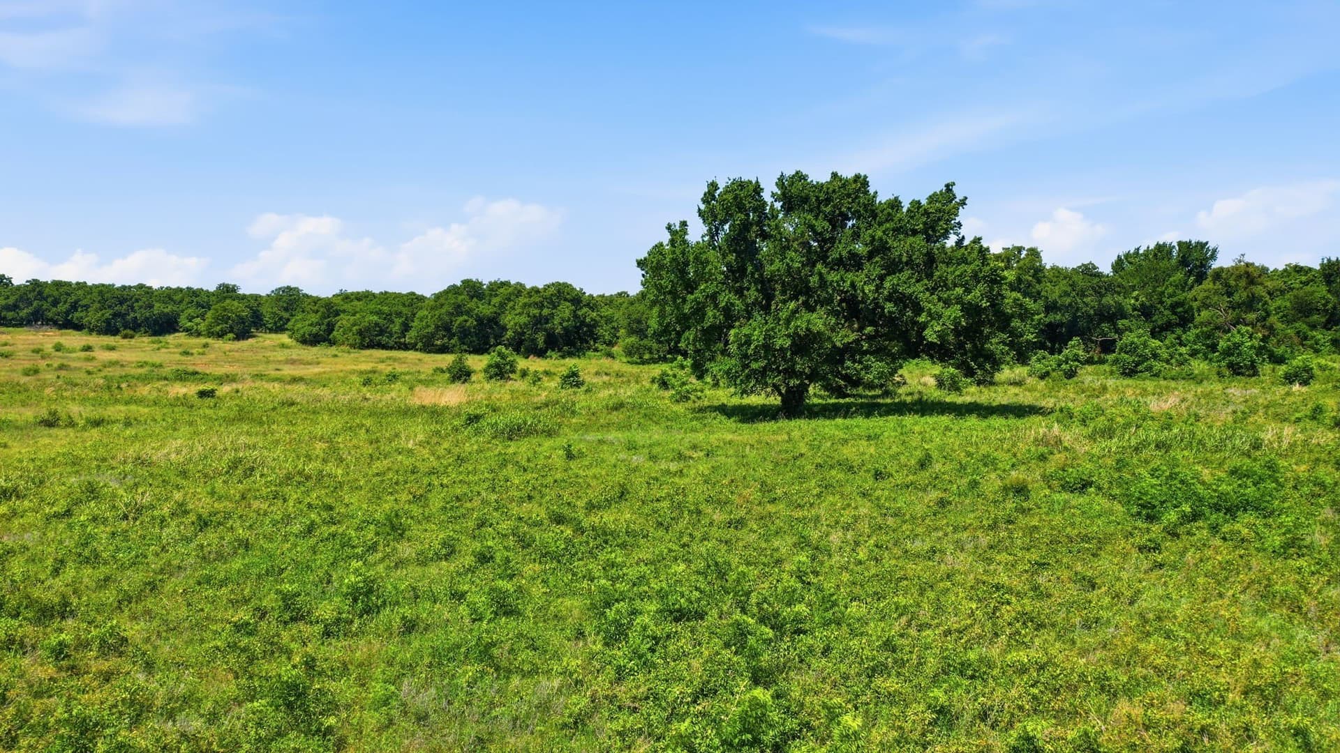 5 acres in Jack County - photo 17