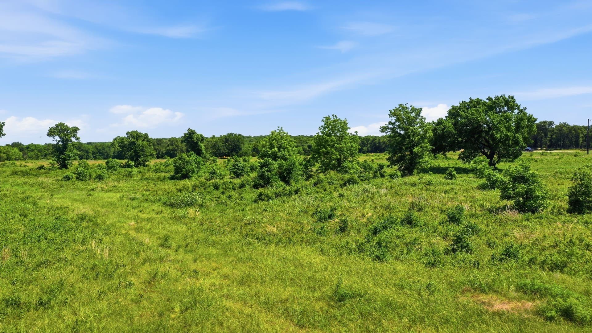 5 acres in Jack County - photo 12