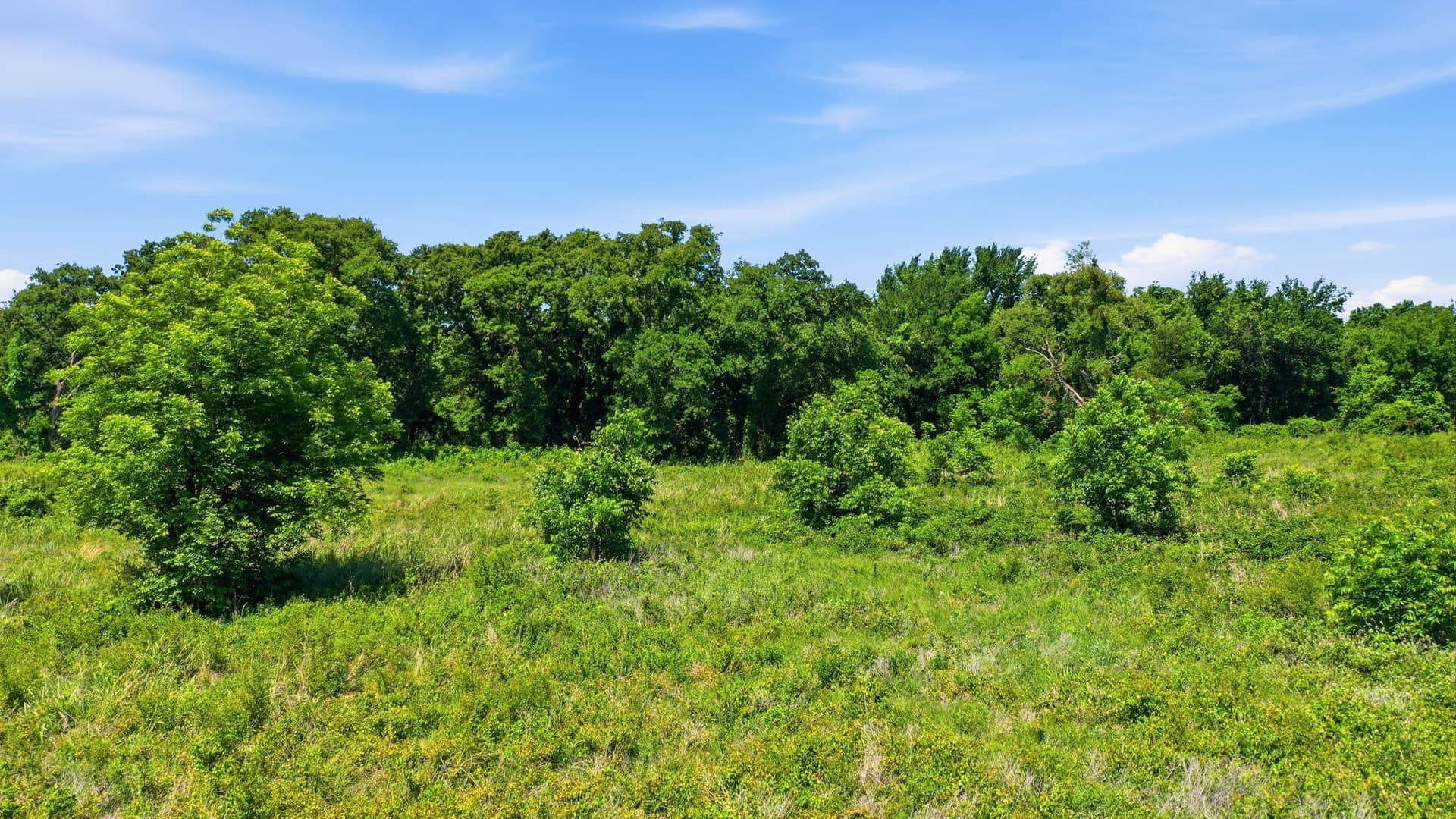 5 acres in Jack County - photo 18