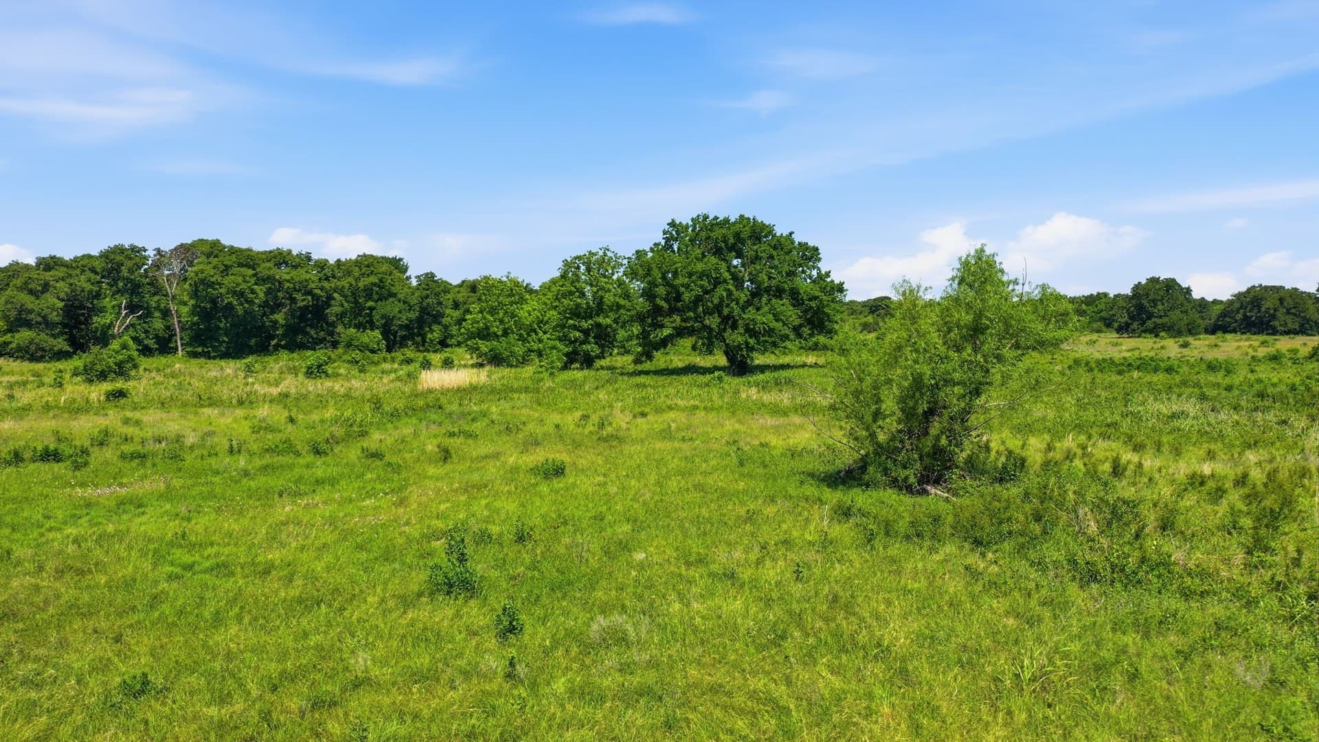 5 acres in Jack County - photo 14