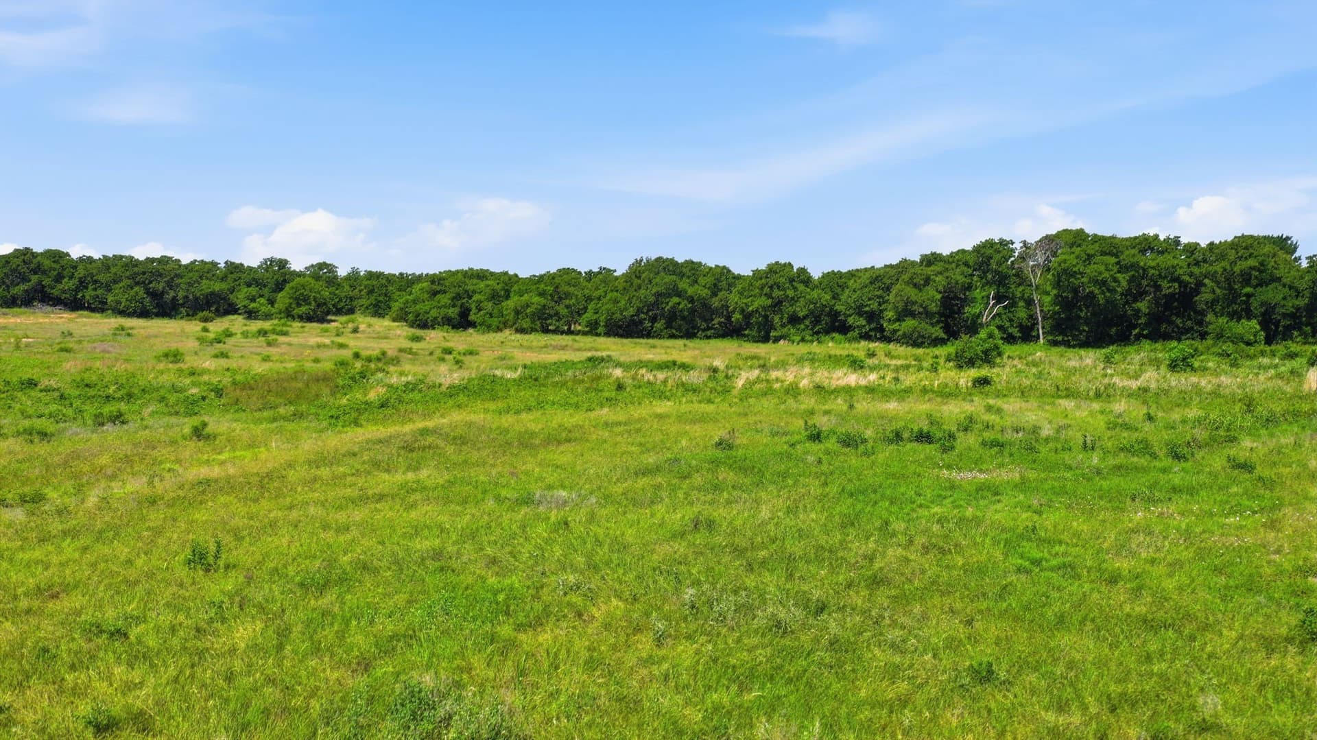 5 acres in Jack County - photo 15