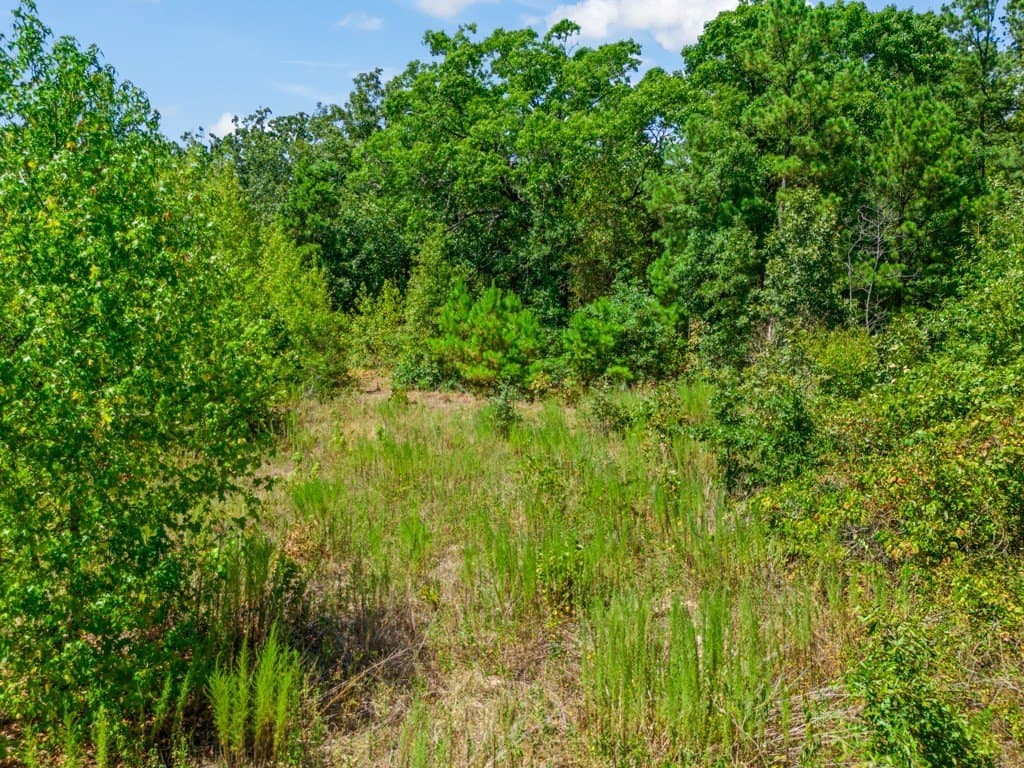 4.54 acres in Wood County - photo 9