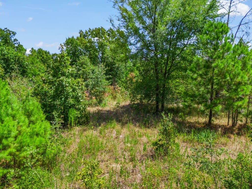 4.54 acres in Wood County - photo 7