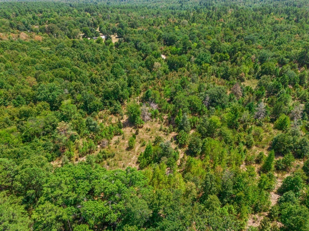 4.54 acres in Wood County - photo 16