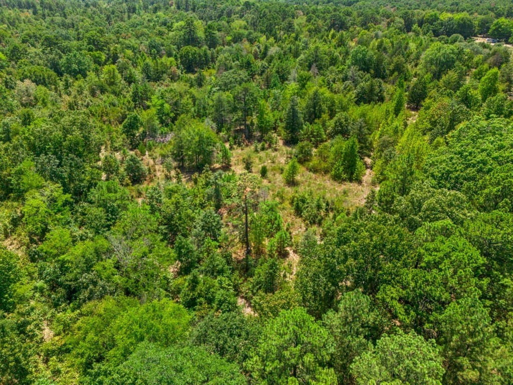 4.54 acres in Wood County - photo 5