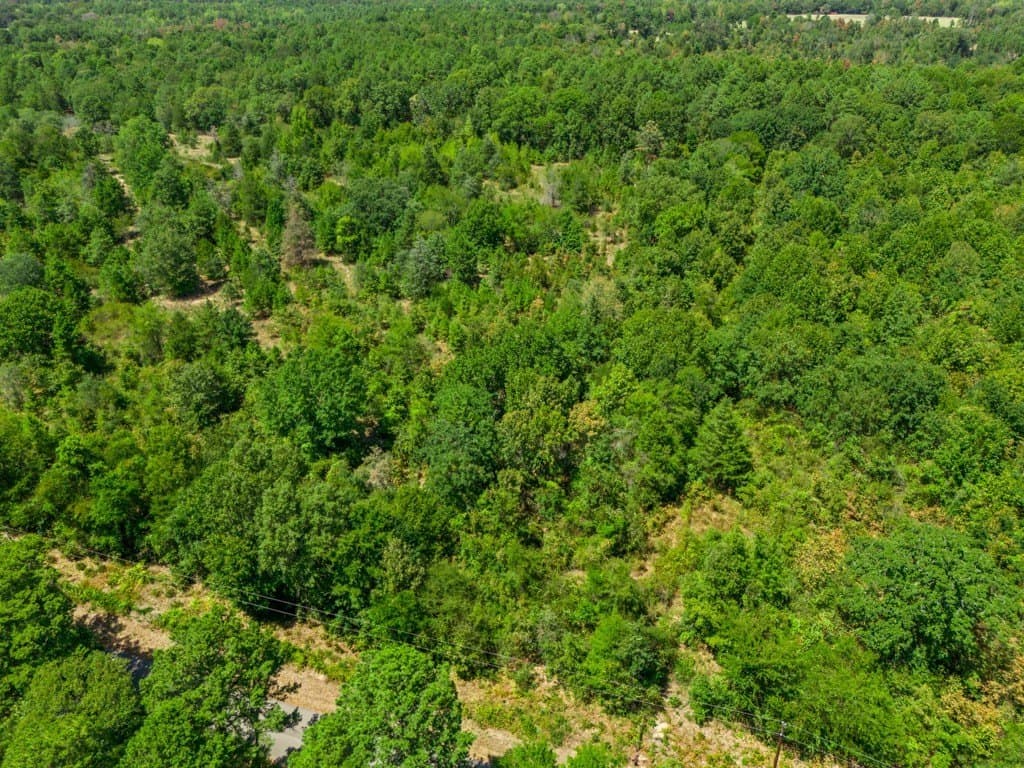 4.54 acres in Wood County - photo 6