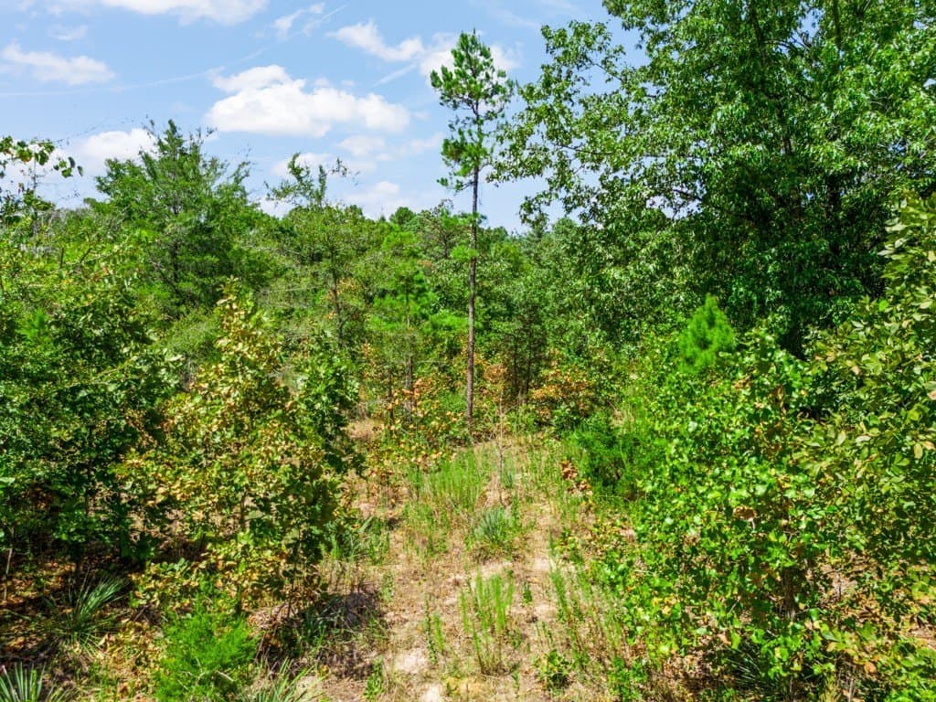 4.54 acres in Wood County - photo 4