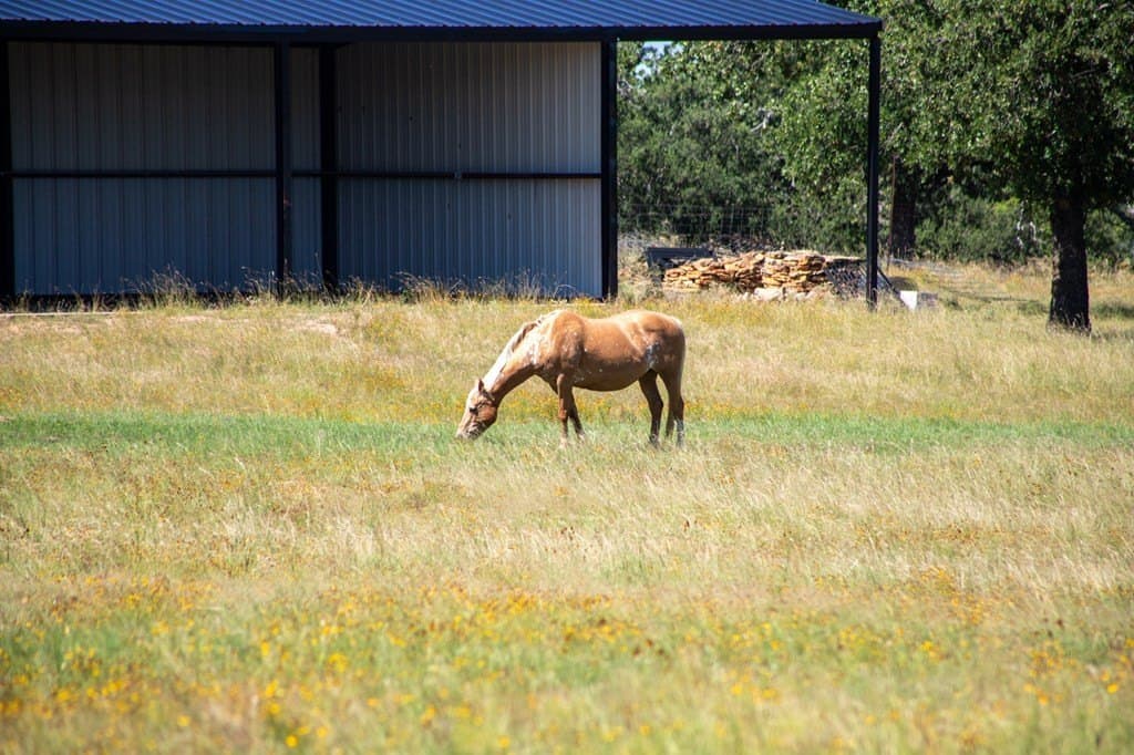 73.7 acres in Llano County - photo 80
