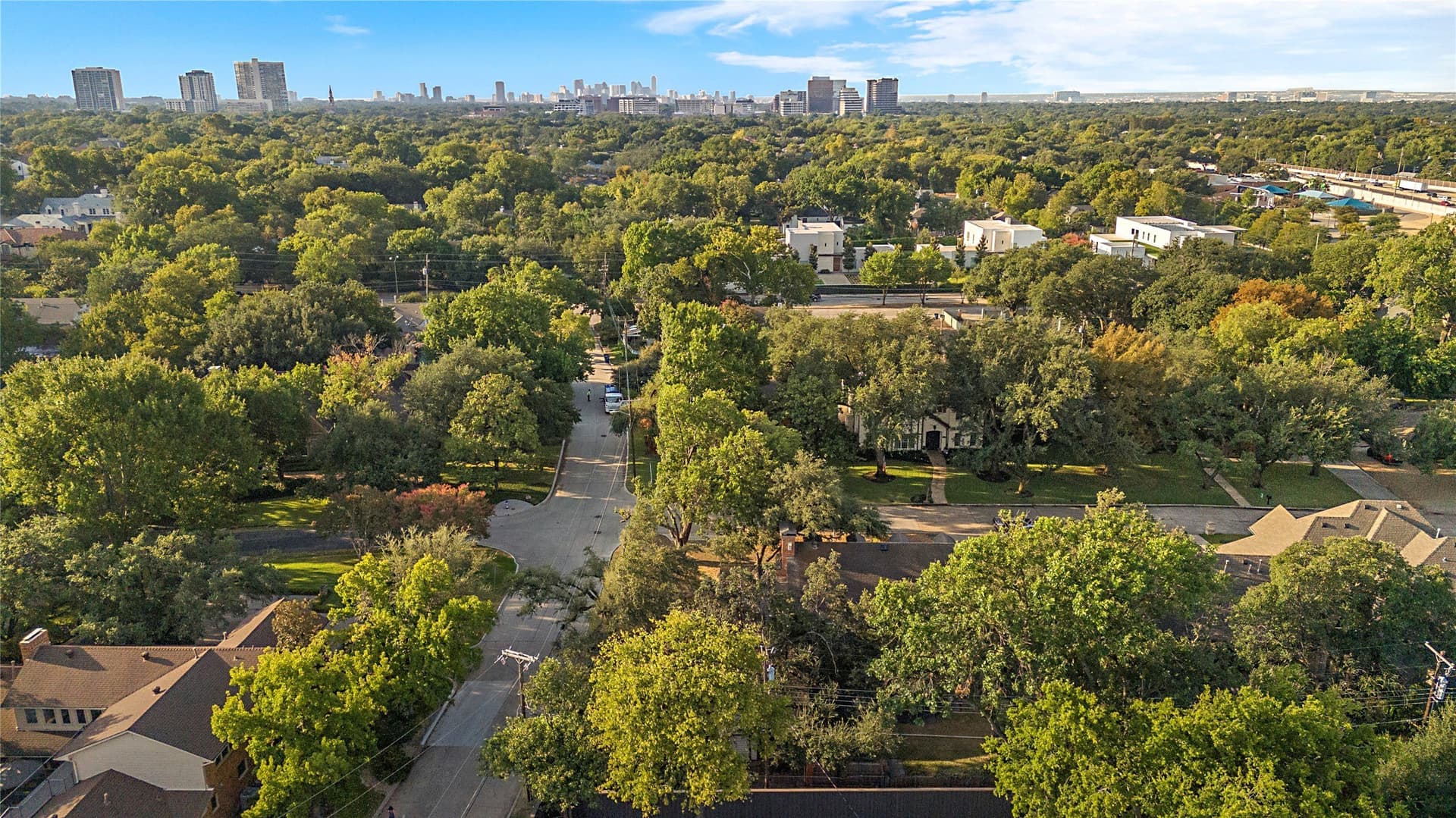 0.38 acres in Dallas County - photo 6