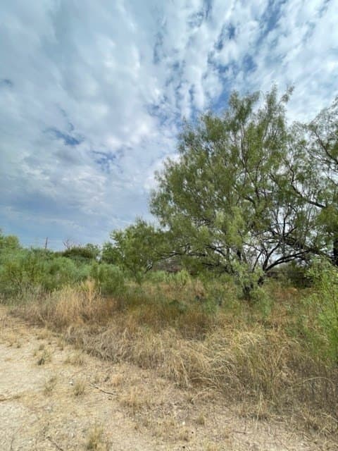 0.37 acres in Uvalde County featured view