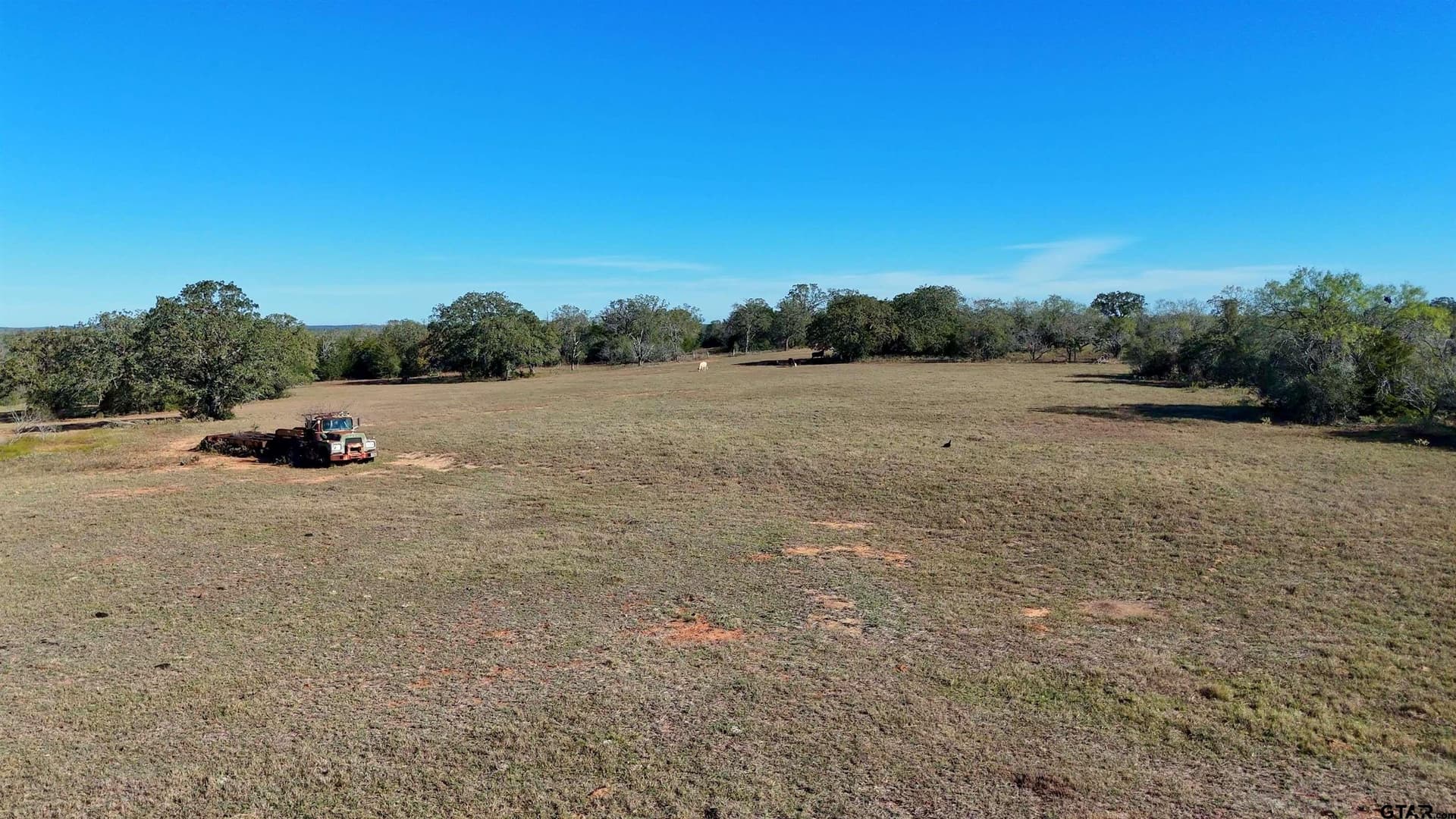 668 acres in Gonzales County gallery image 3