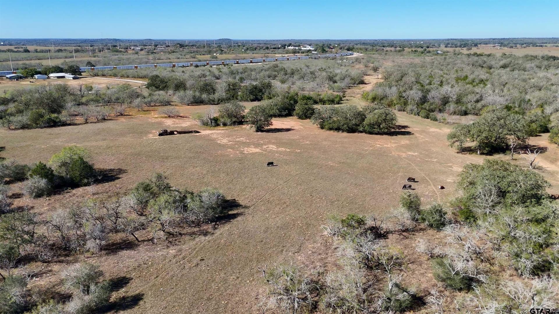 668 acres in Gonzales County gallery image 4