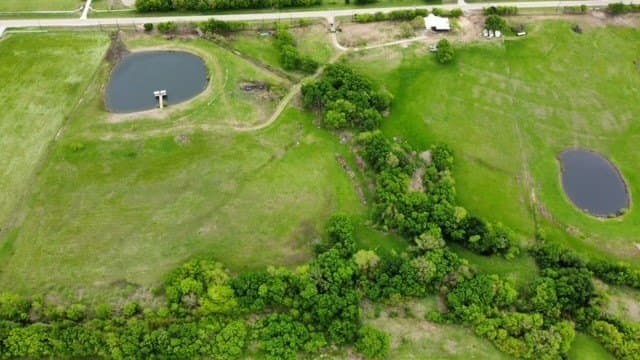 7.21 acres in Rains County - photo 8