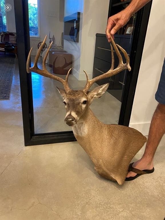 70 acres in Robertson County gallery image 2