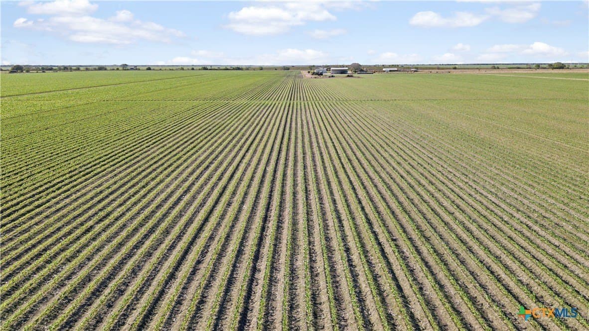 373 acres in Jackson County - photo 8