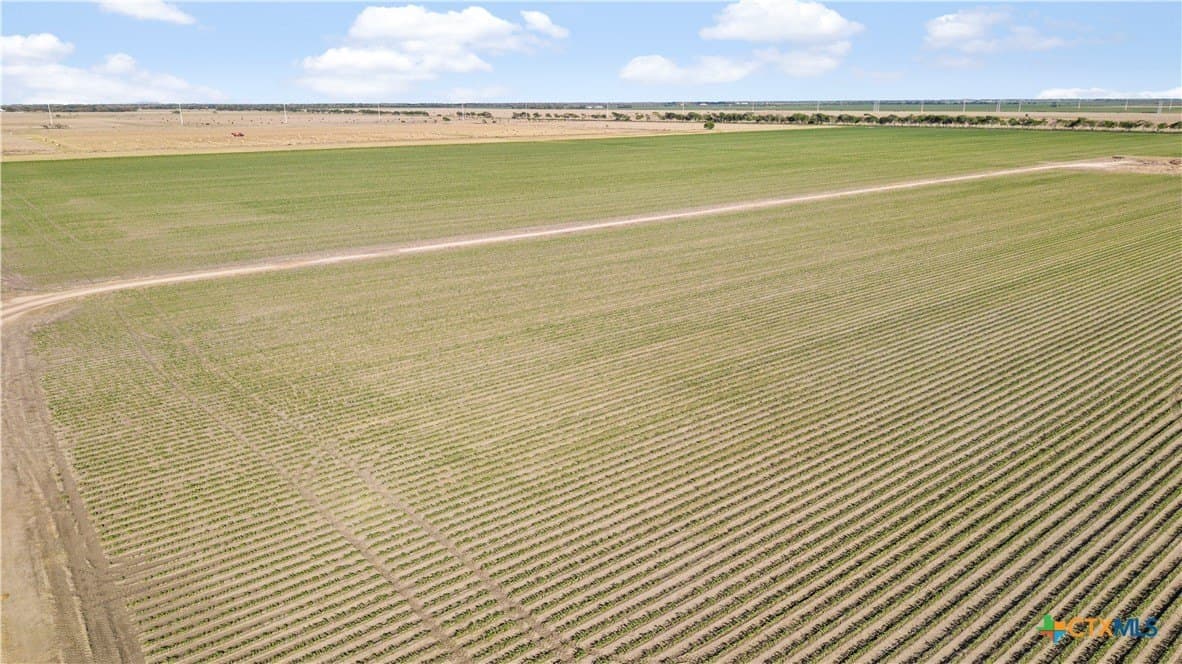 373 acres in Jackson County - photo 11