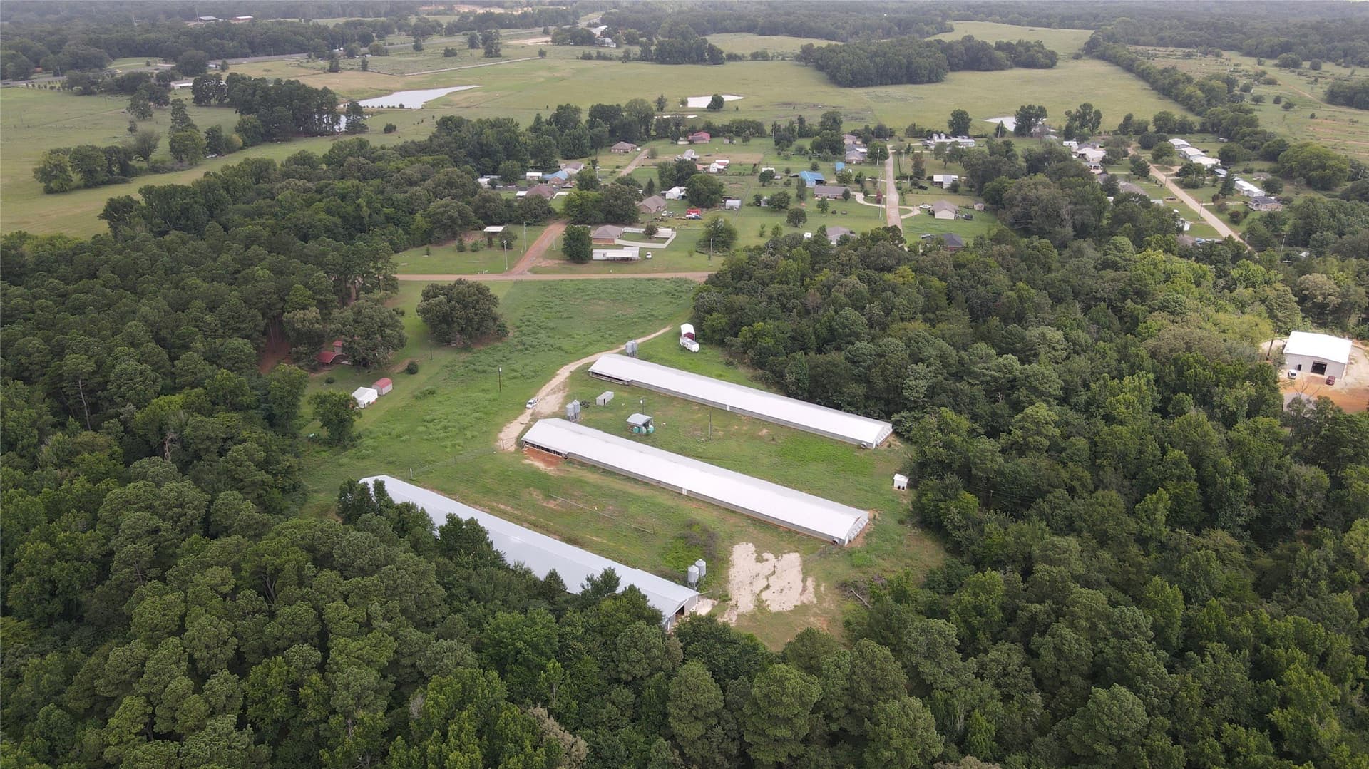 9.54 acres in Camp County - photo 5