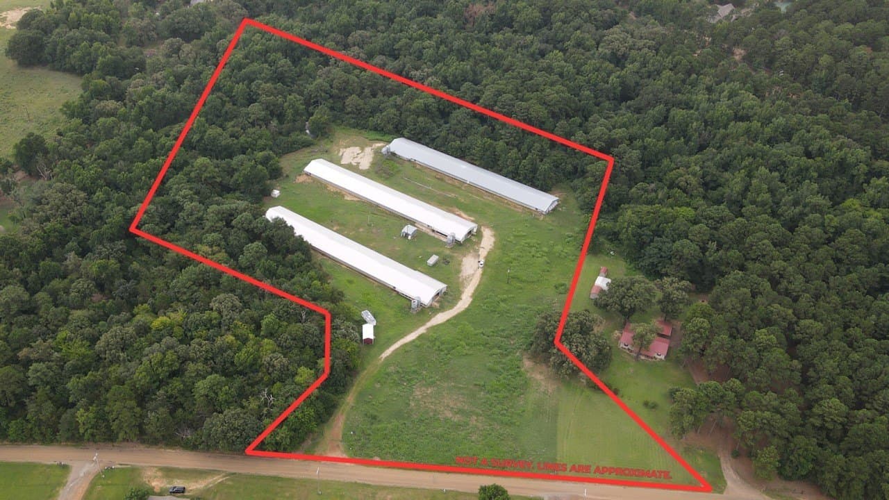 9.54 acres in Camp County