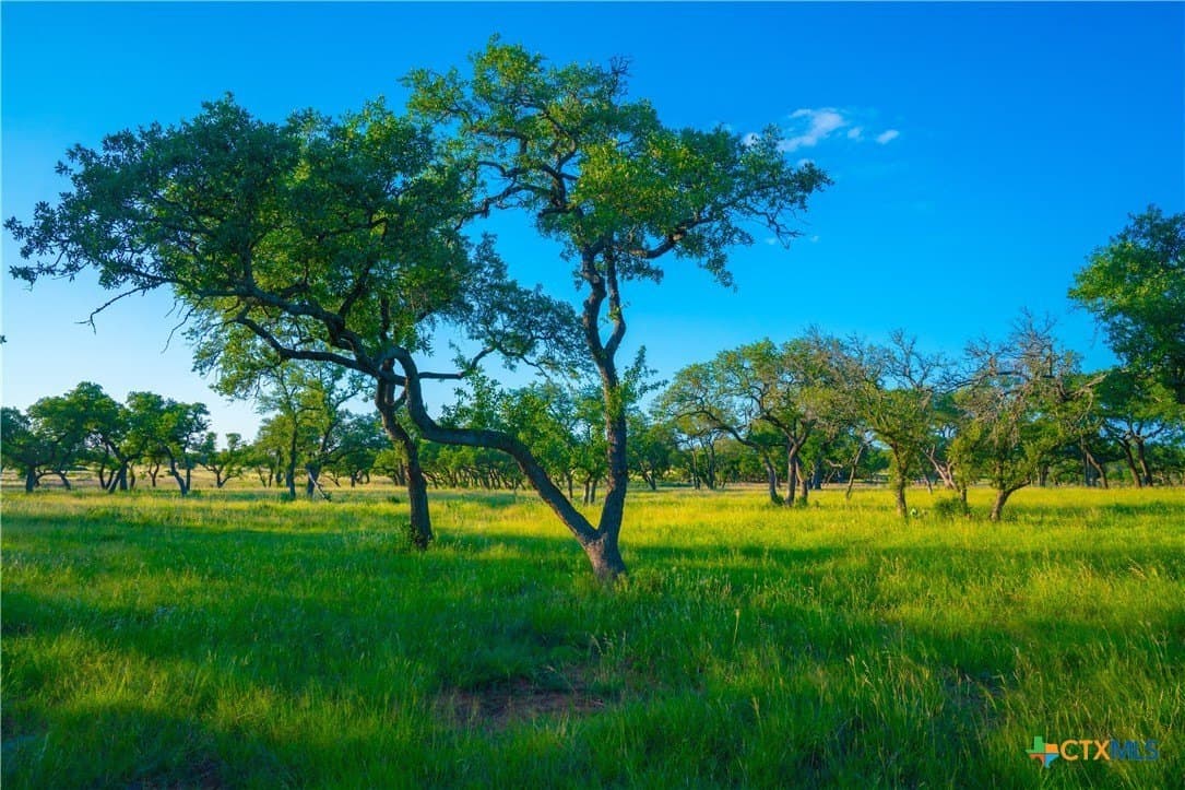 9 acres in Blanco County gallery image 3