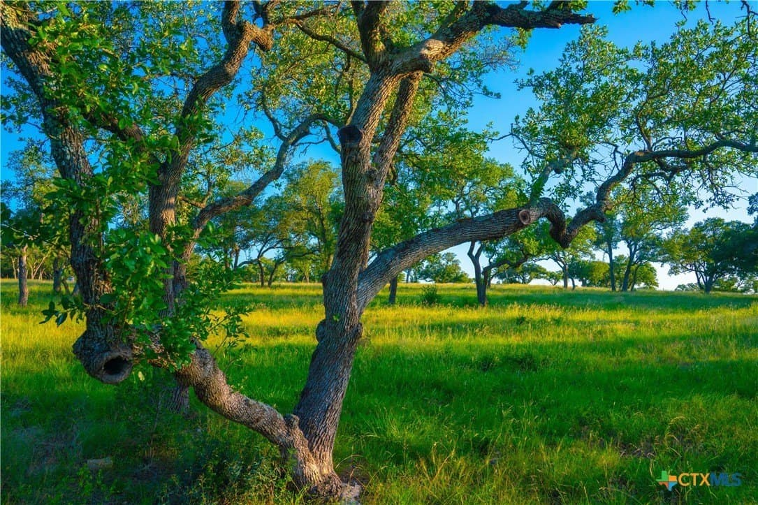 9 acres in Blanco County featured view