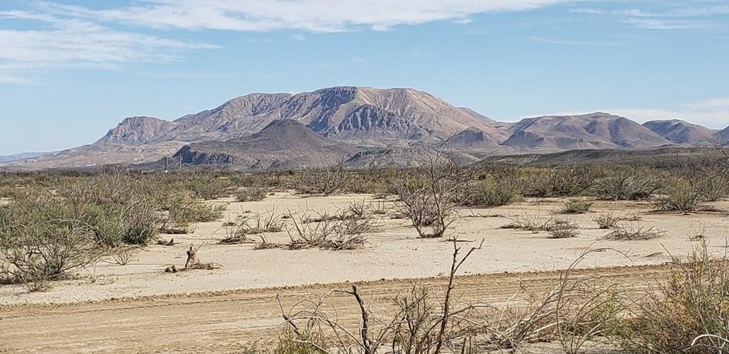 5 acres in Brewster County