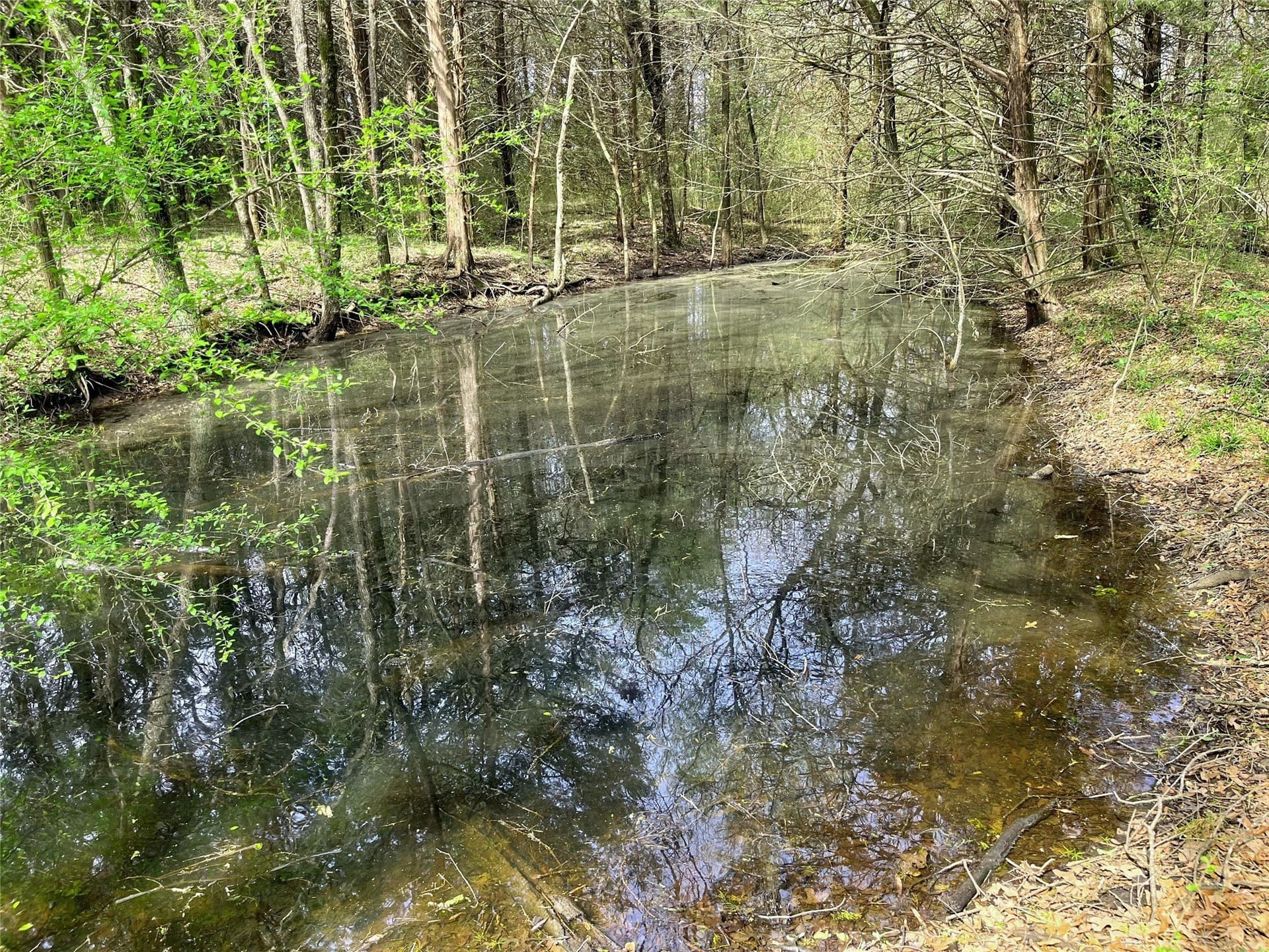 10.5 acres in Fannin County - photo 11
