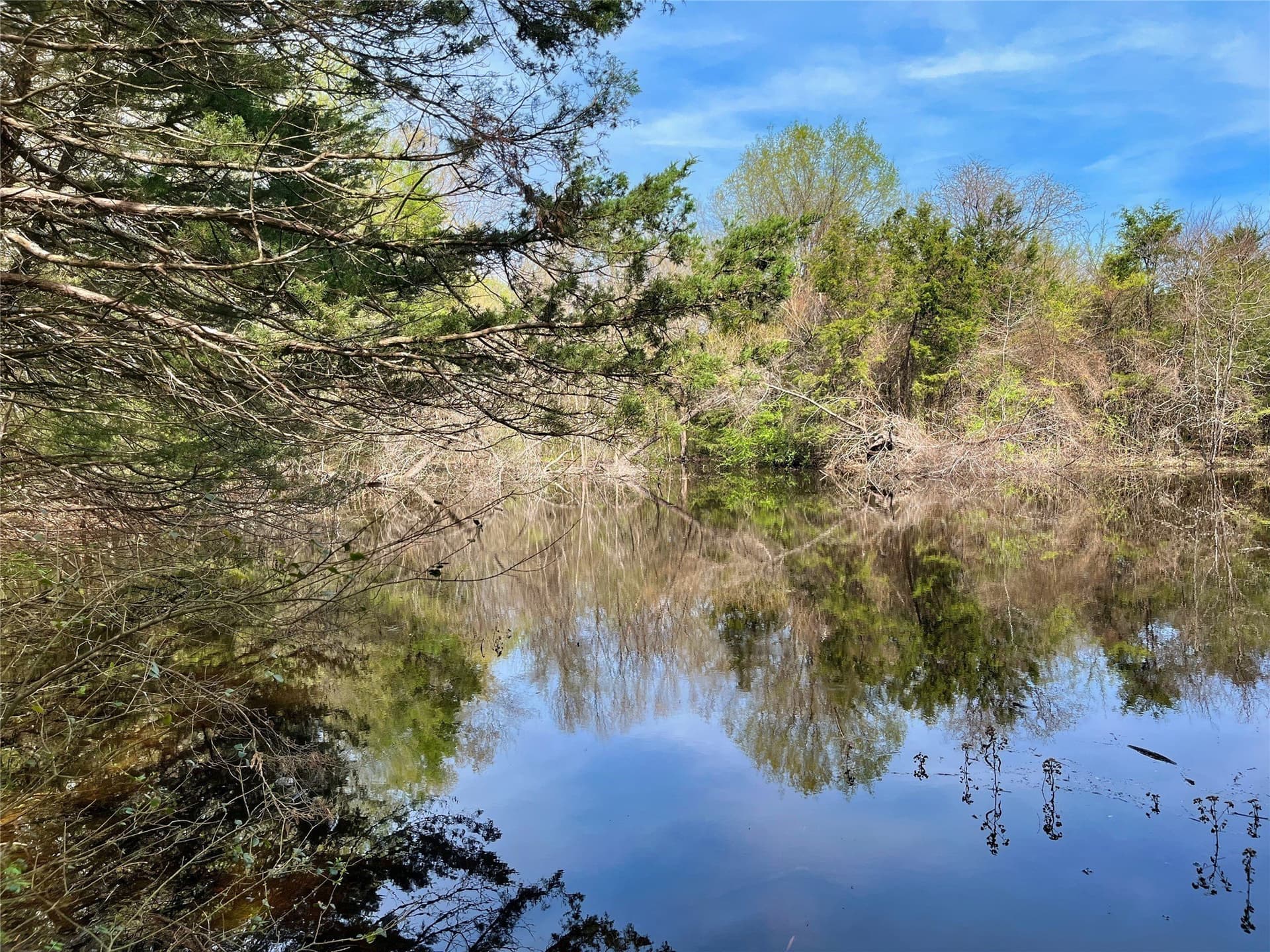 10.5 acres in Fannin County - photo 8