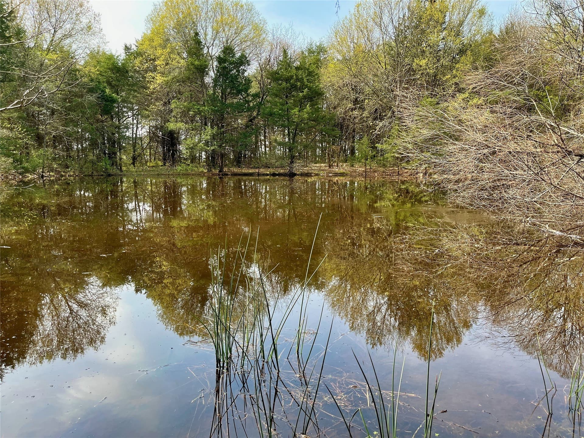 10.5 acres in Fannin County - photo 7