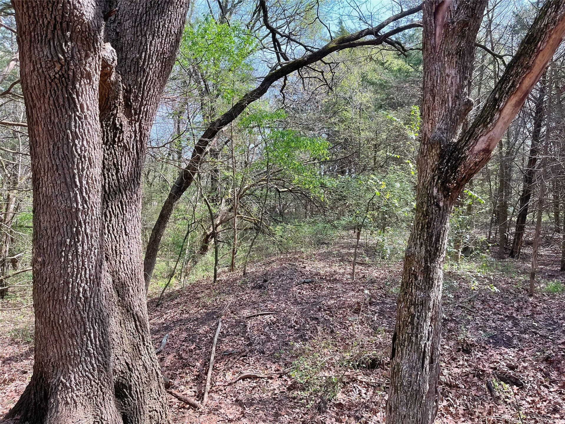 10.5 acres in Fannin County - photo 14
