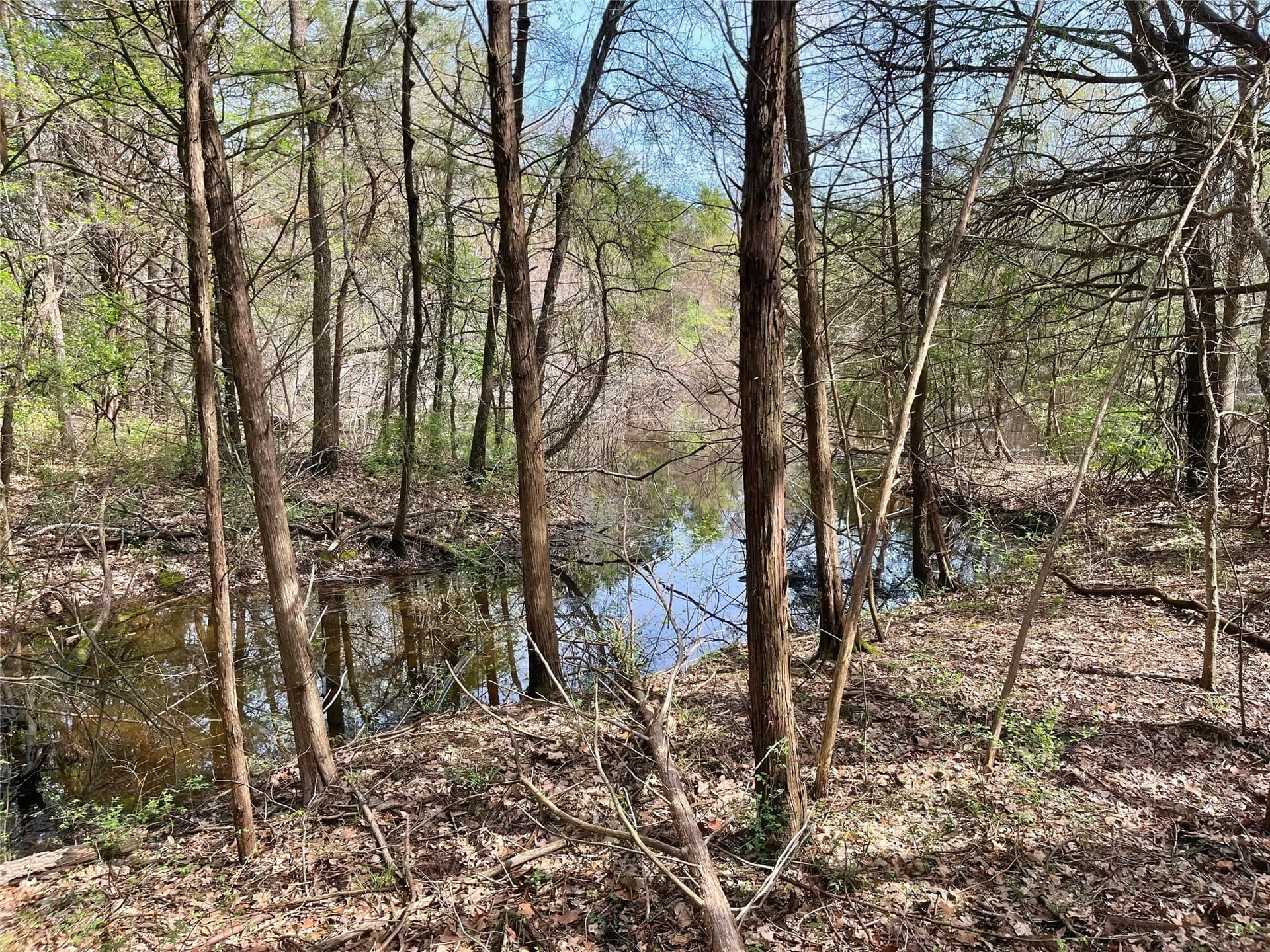 10.5 acres in Fannin County - photo 10