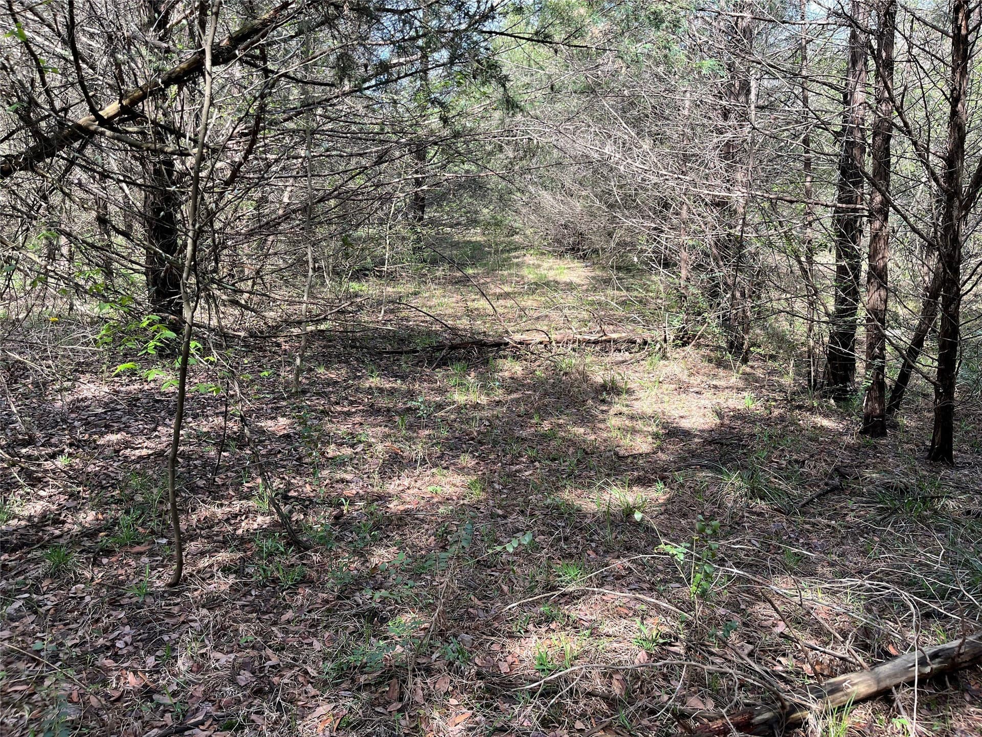 10.5 acres in Fannin County - photo 15