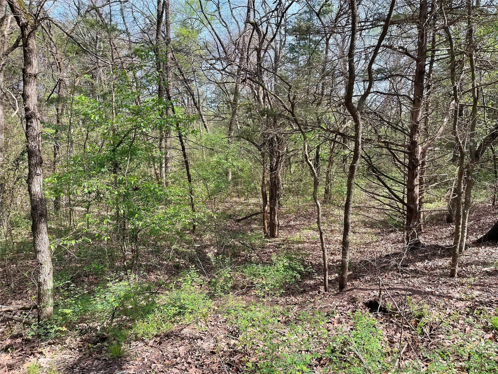 10.5 acres in Fannin County - photo 13