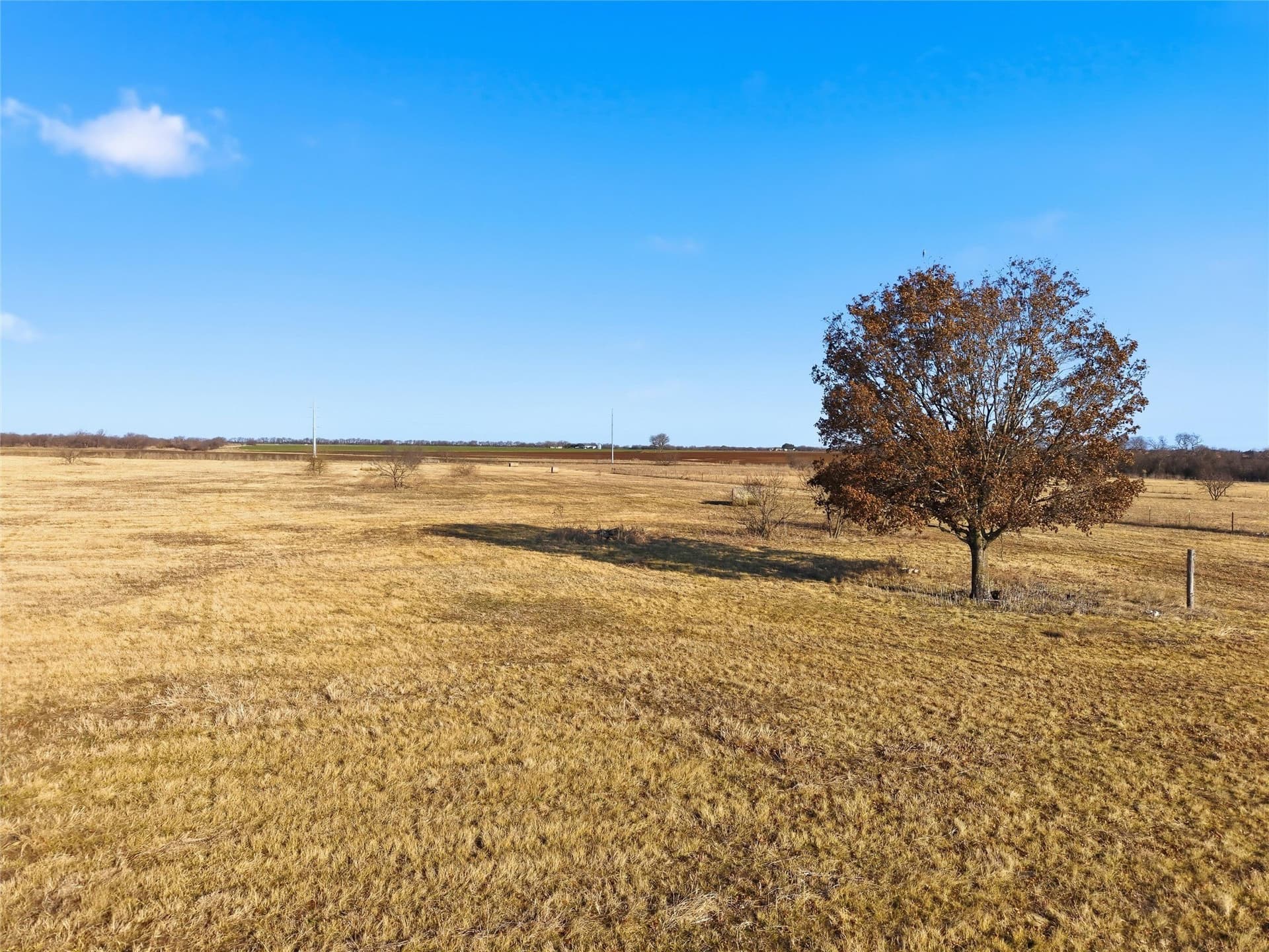 13.09 acres in McLennan County - photo 7