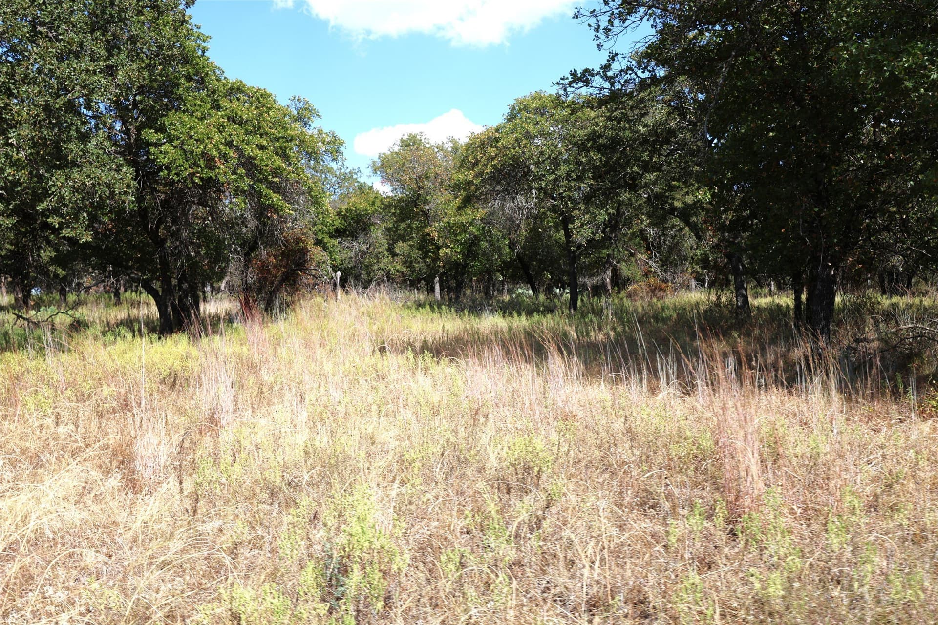 239.09 acres in Brown County - photo 23