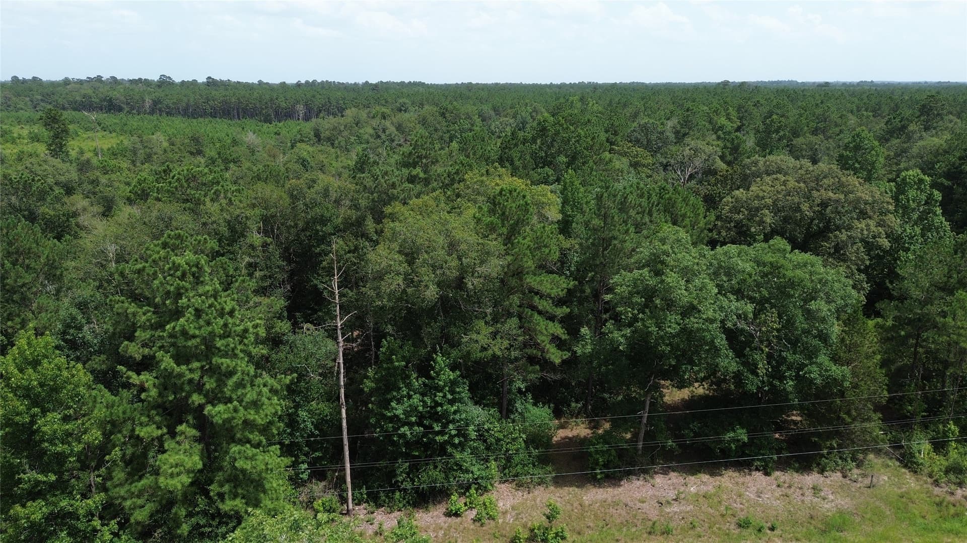 8 acres in Newton County - photo 6