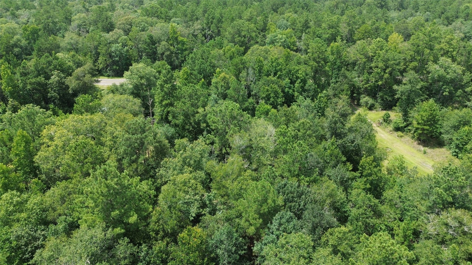 8 acres in Newton County - photo 3