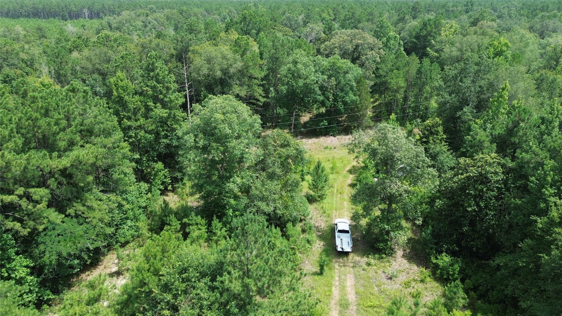 8 acres in Newton County - photo 5